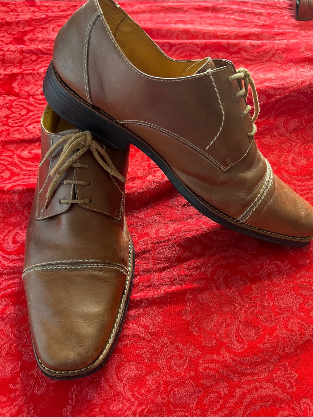 Sandro Moscoloni Brown Leather Cap Toe Oxford Dress Shoes Men's 14D